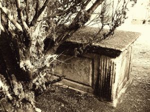 Overgrown tomb by Lenora