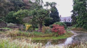 Scottish garden